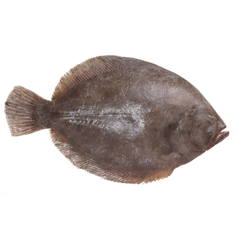 Lenguado Entero