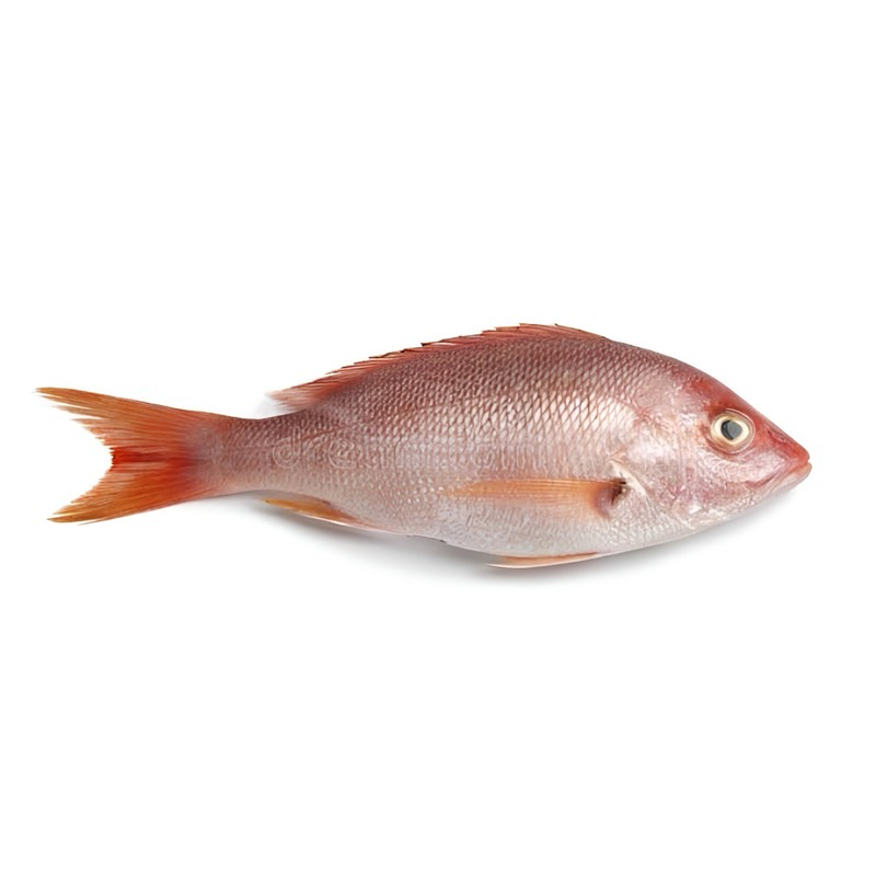 Pargo Rojo Entero