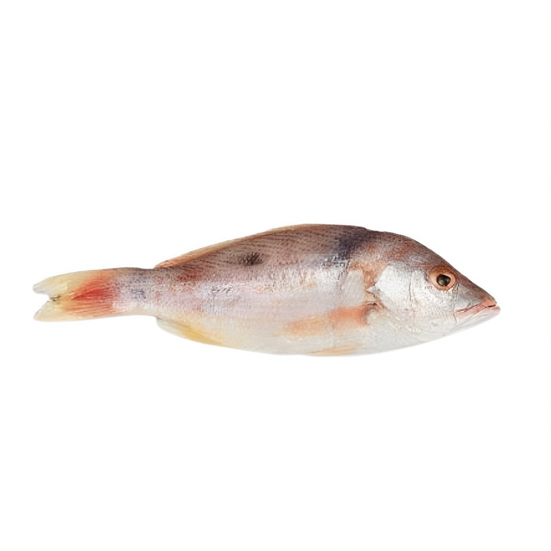 Pargo Blanco Entero