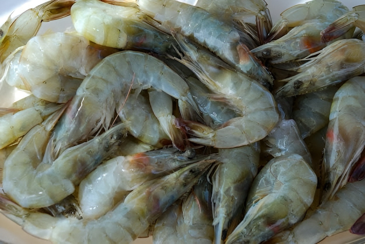 Camarones Con Cabeza