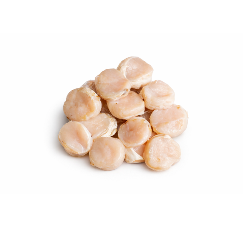 Callo de Hacha Redondo