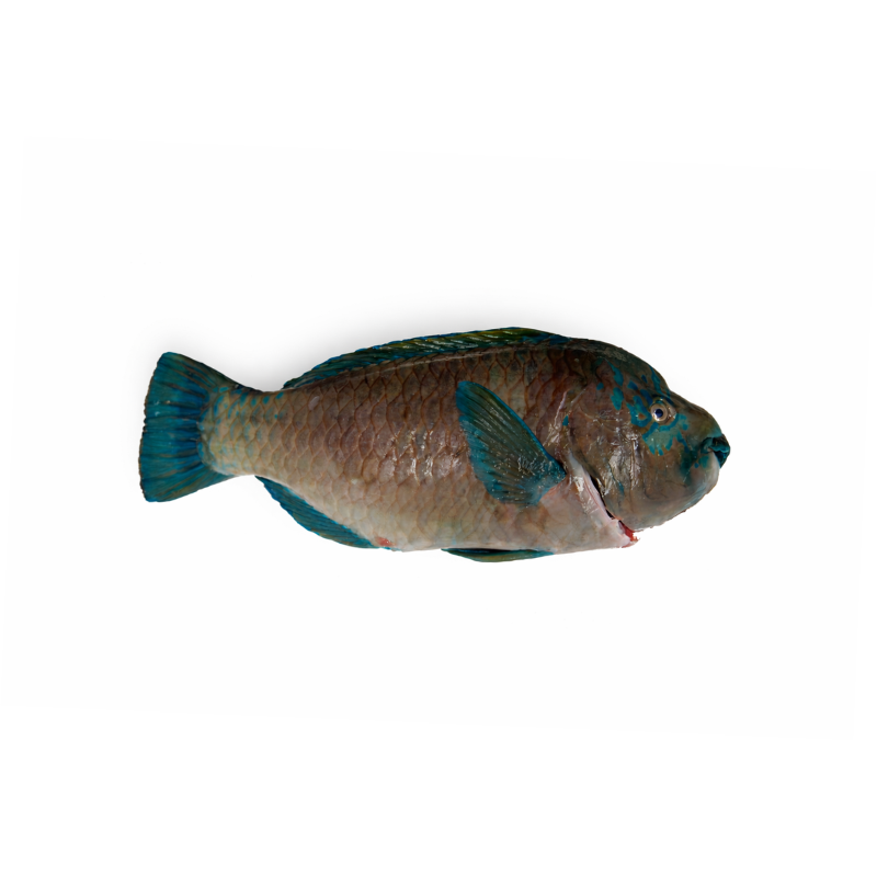 Perico