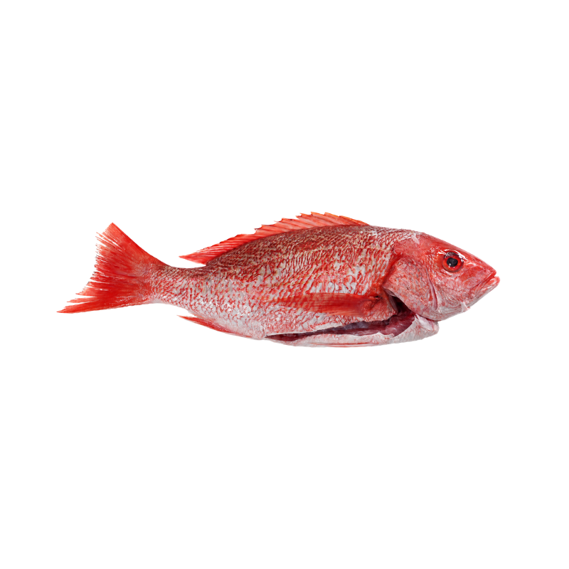 Huachinango Rojo