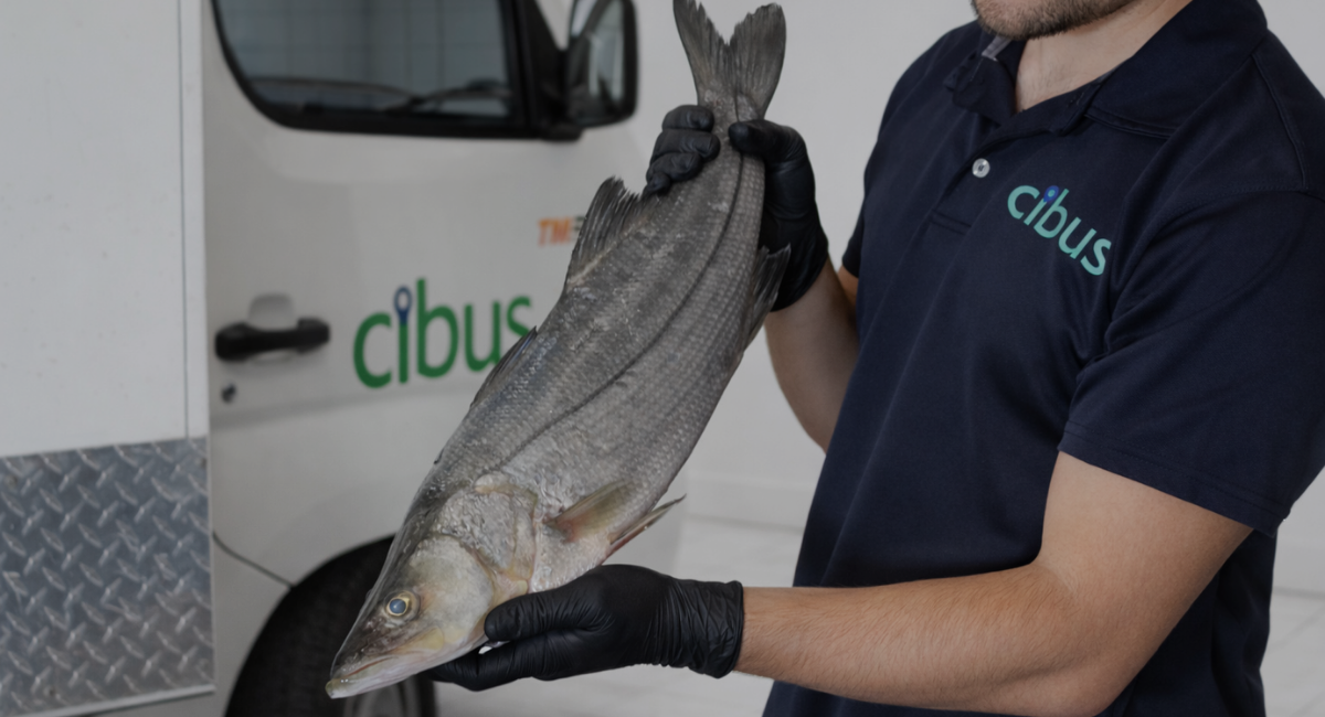 Proveeduria de Pescados y Mariscos Frescos en Monterrey