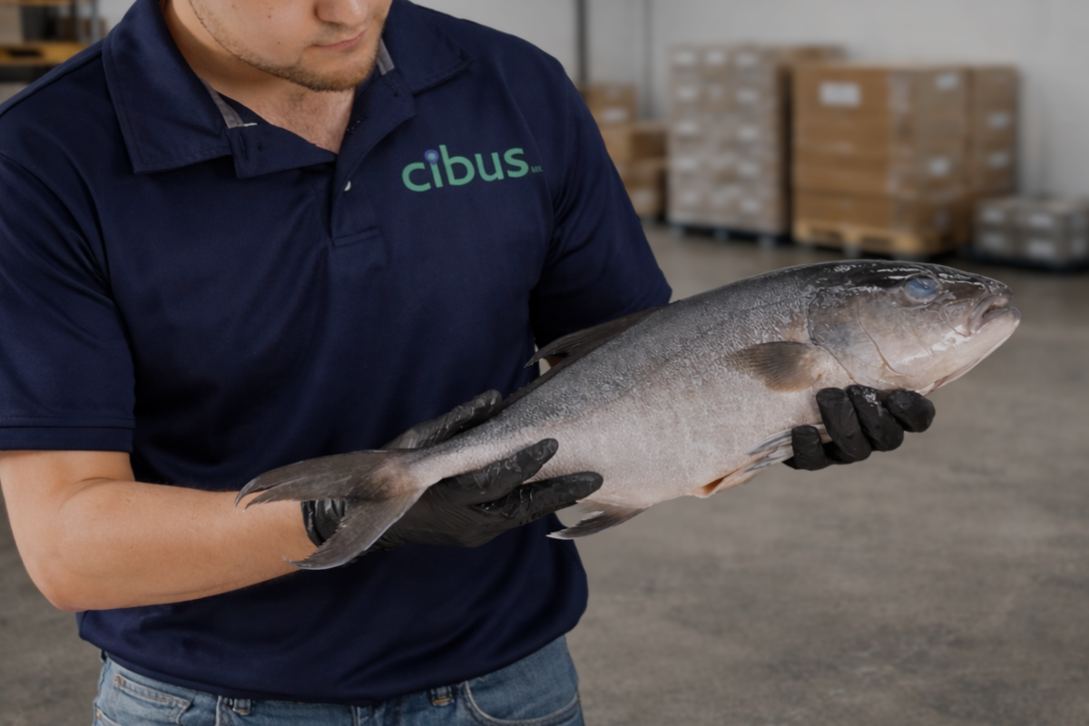Proveedor de Pescado y Marisco Fresco a restaurantes en Monterrey