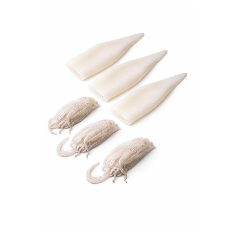 Calamar Tubo y Tentáculo