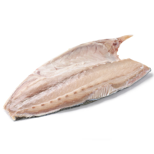 Hamachi Japones
