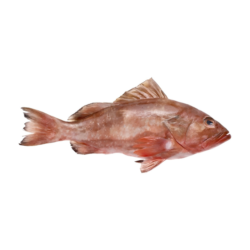 Baqueta Entera