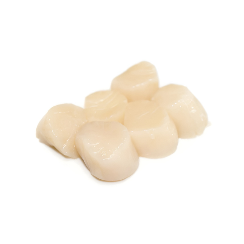 Callo de Hacha Importado