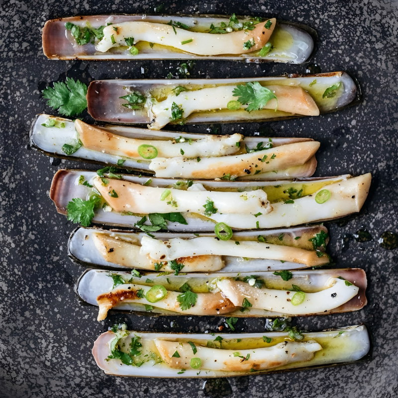 Almeja Navaja Española