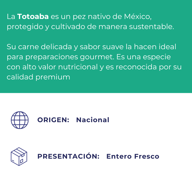 Totoaba Entera