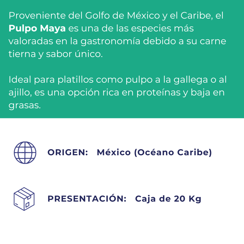Pulpo Maya