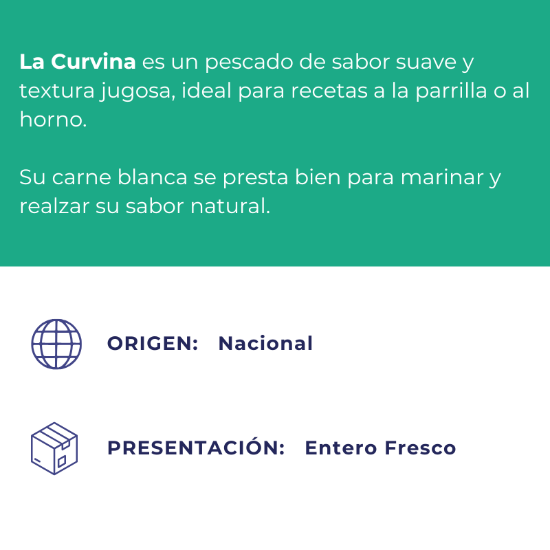 Curvina Entera