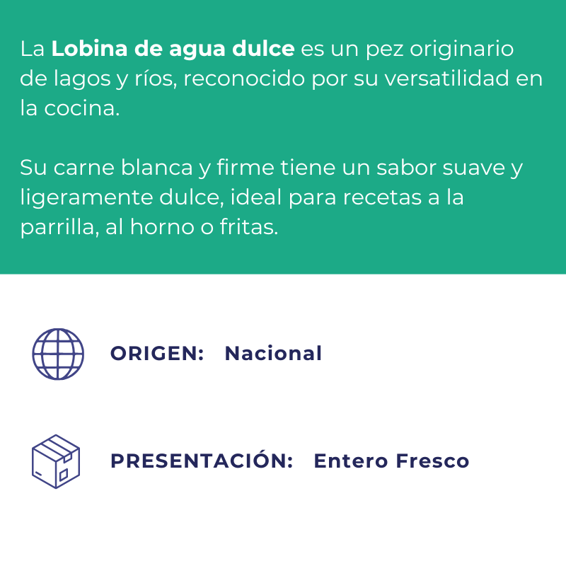 Lobina Agua Dulce