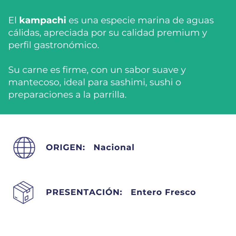 Kampachi Entero