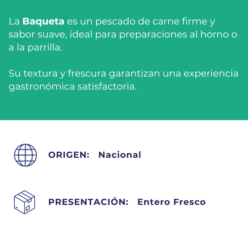 Baqueta Entera