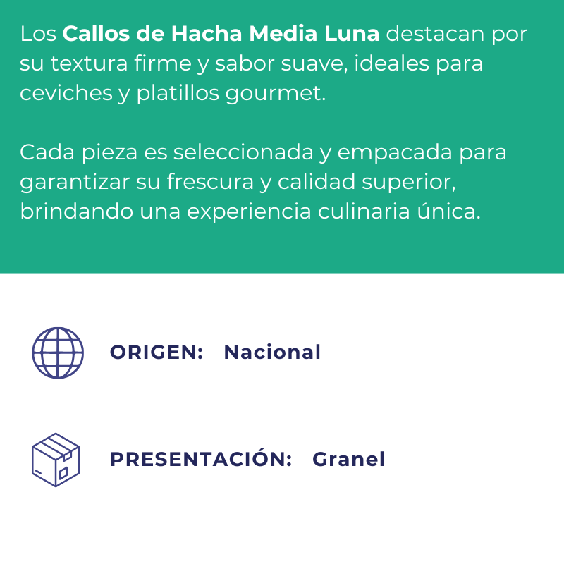 Callo de Hacha Media Luna