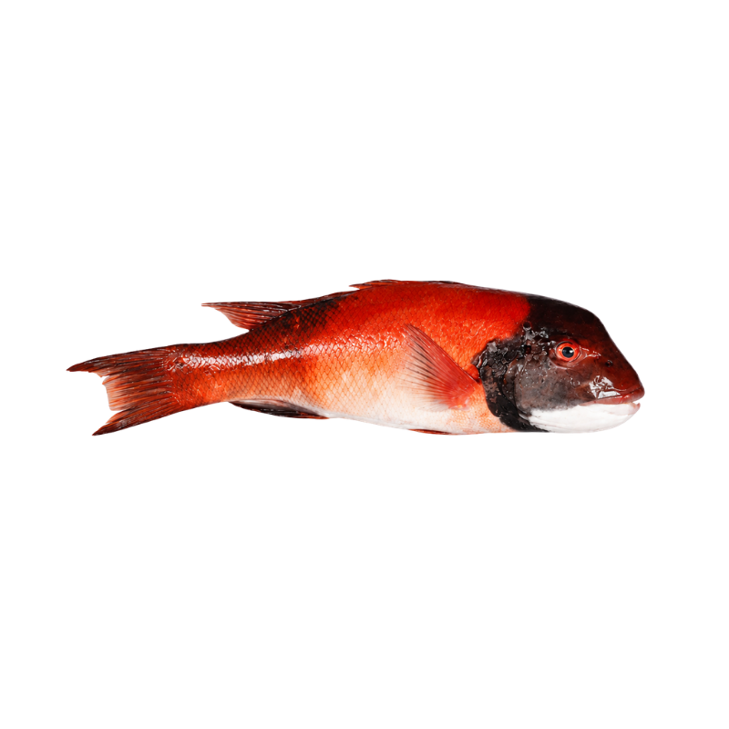 Vieja