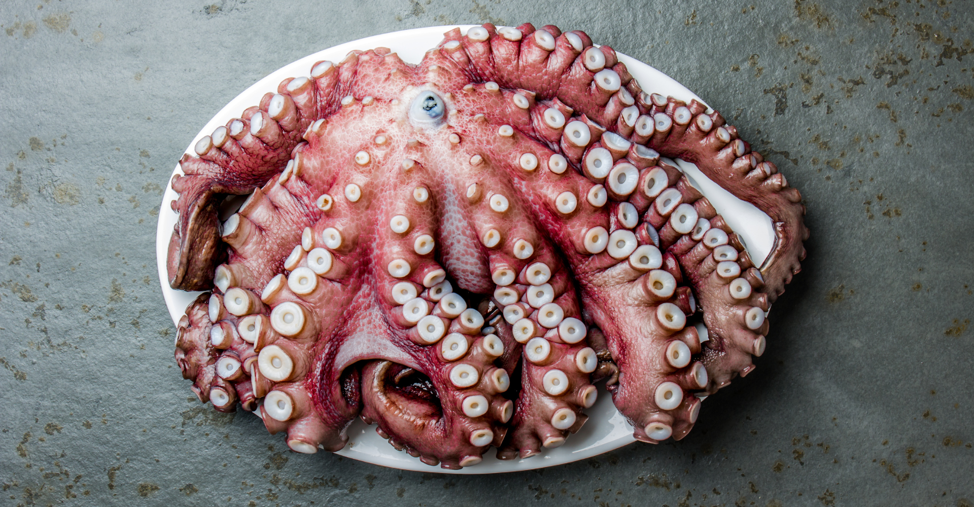 Pulpo Mexicano 2-4, fresco y listo para cocinar.