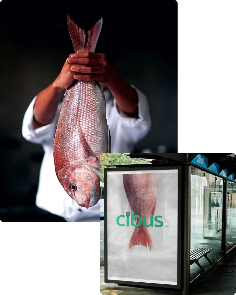 El mejor fish market de mexico es Cibus