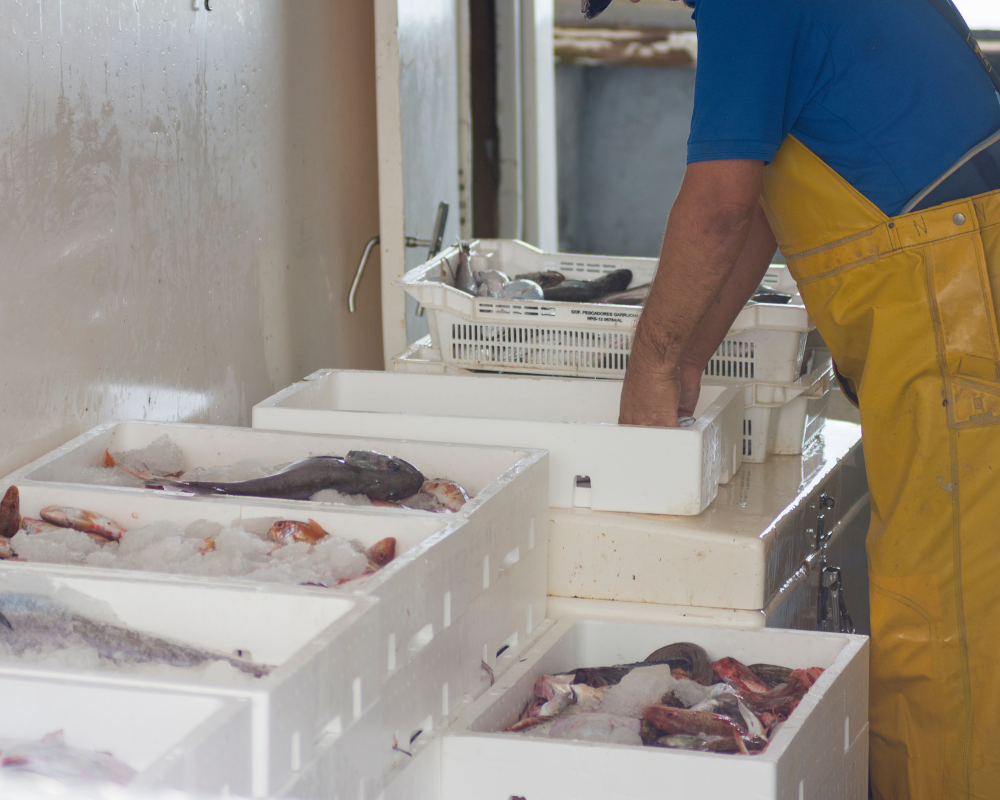 Almacenamiento de Pescado Fresco en Hielo para la proveeduría a negocios en Monterrey