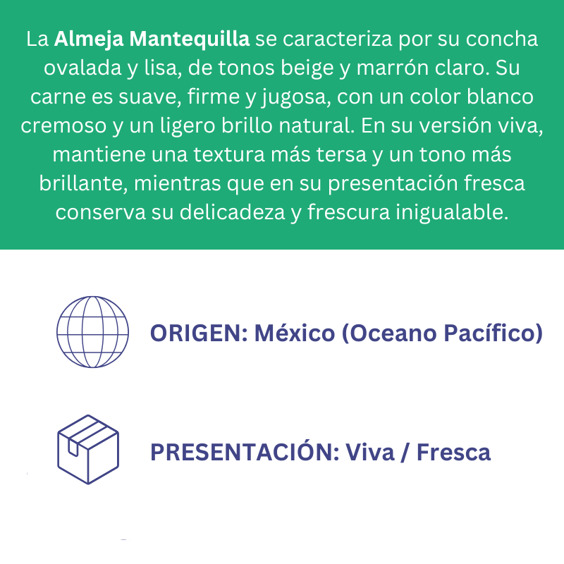 Almeja Mantequilla