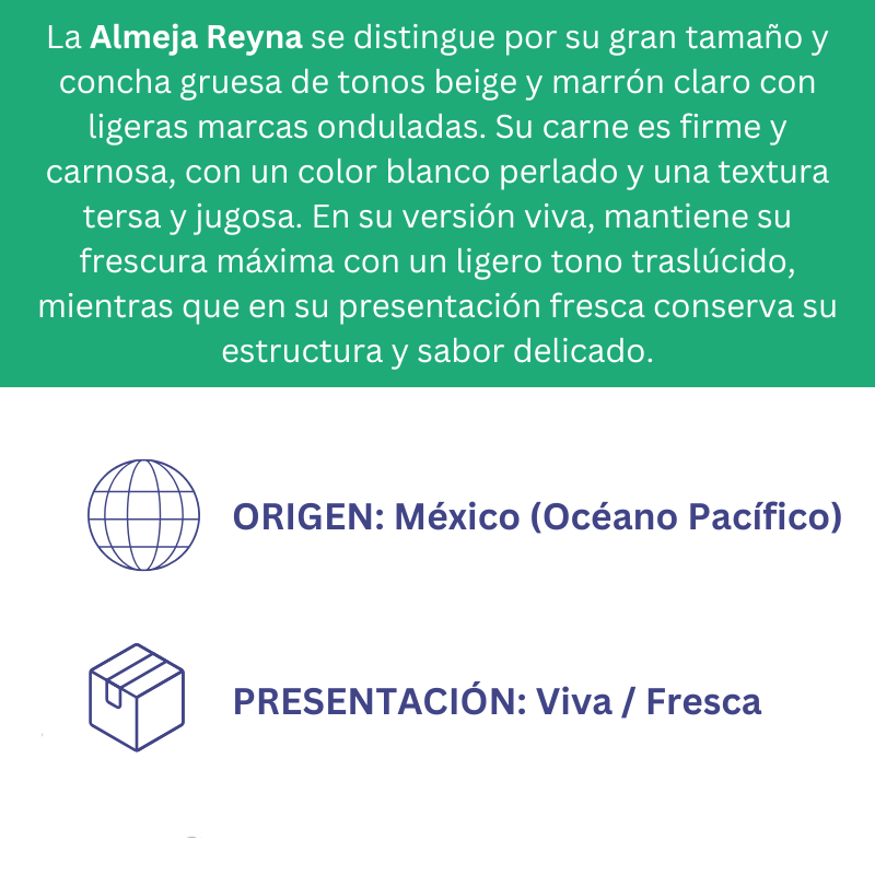 Almeja Reyna