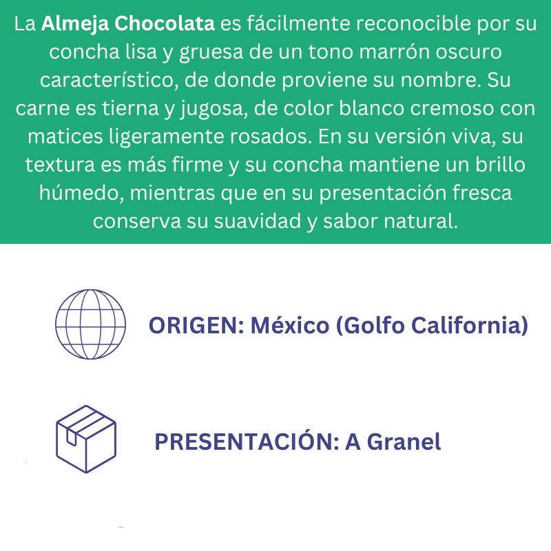 Almeja Chocolata